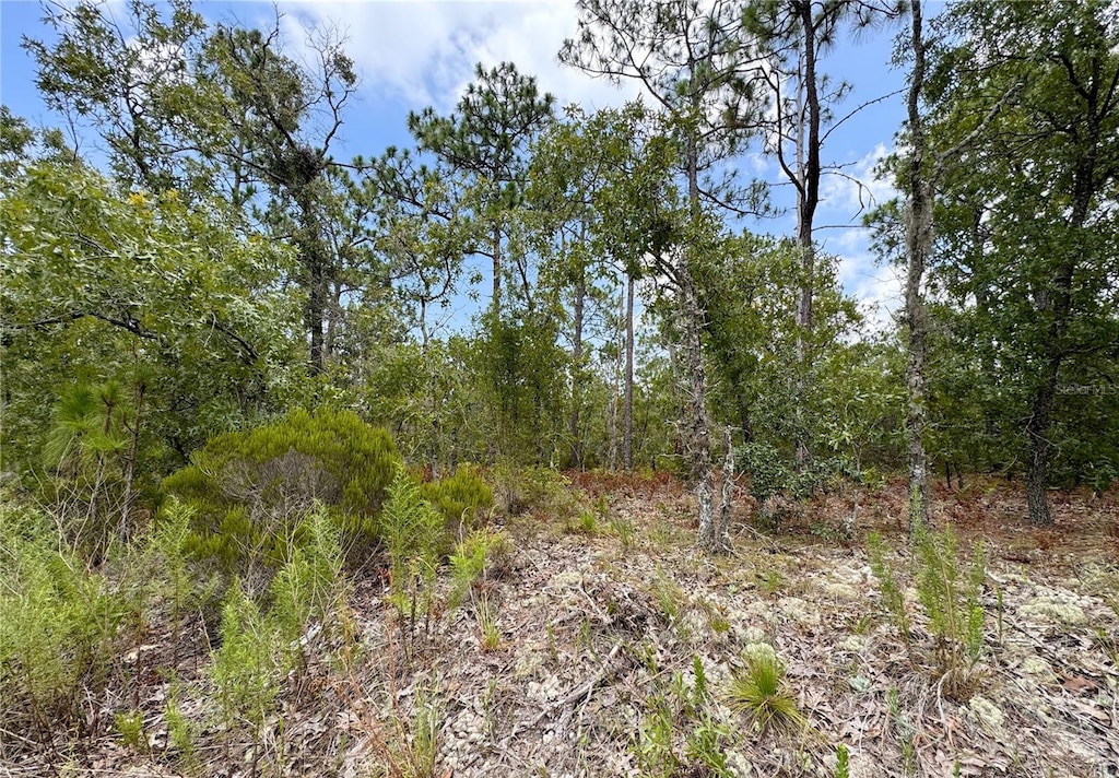 5317 N Mint Pt, Beverly Hills, FL 34465 - photo 3