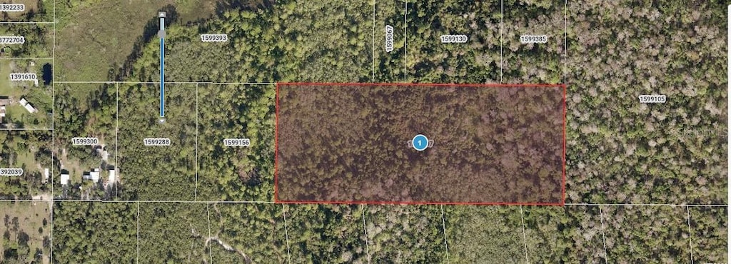 Forest View Rd, Deland, FL 32720 - photo 2
