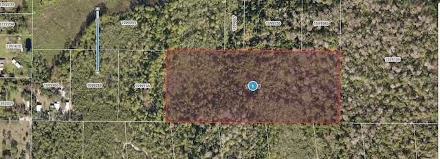 Forest View Rd, Deland, FL 32720 - photo 2
