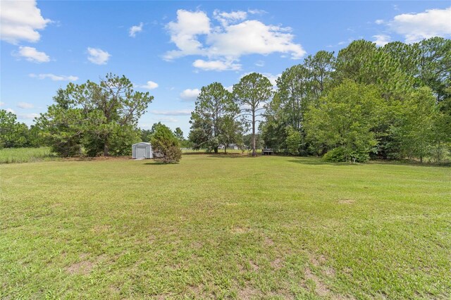 20351 SW Cardinal Ave, Dunnellon, FL 34431 - photo 40