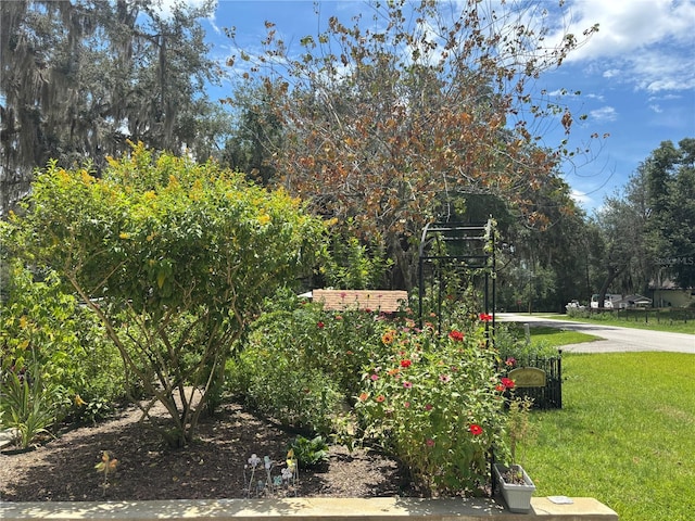 5891 SE 166th Ct, Ocklawaha, FL 32179 - photo 6