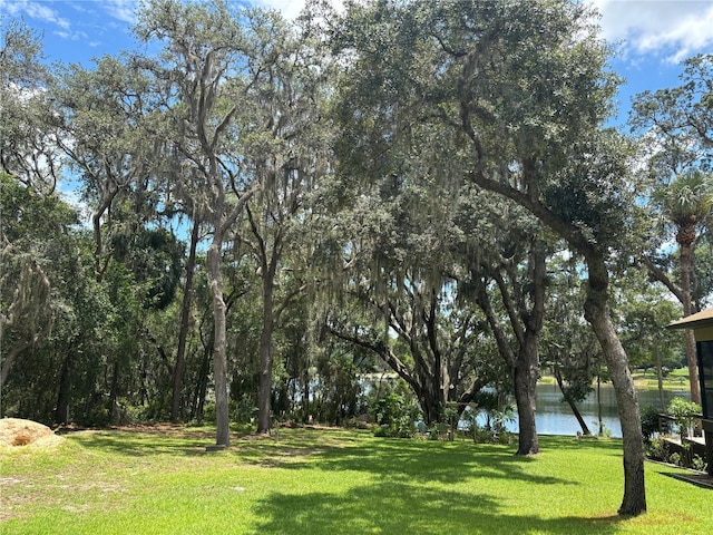 5891 SE 166th Ct, Ocklawaha, FL 32179 - photo 21