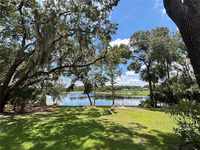 5891 SE 166th Ct, Ocklawaha, FL 32179 - photo 29