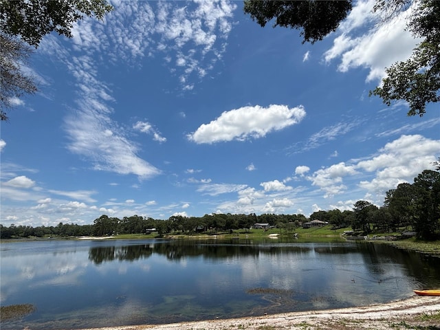 5891 SE 166th Ct, Ocklawaha, FL 32179 - photo 33