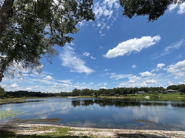 5891 SE 166th Ct, Ocklawaha, FL 32179 - photo 34