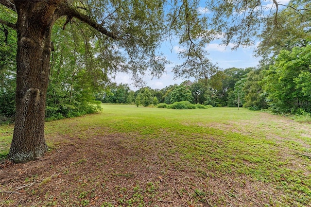 13660 SE 80th Ave, Summerfield, FL 34491 - photo 68