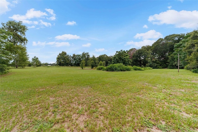 13660 SE 80th Ave, Summerfield, FL 34491 - photo 69