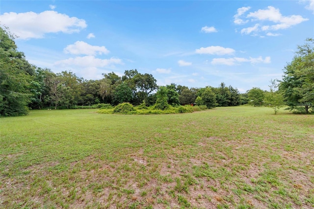 13660 SE 80th Ave, Summerfield, FL 34491 - photo 70
