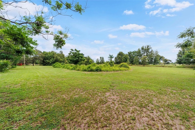 13660 SE 80th Ave, Summerfield, FL 34491 - photo 71