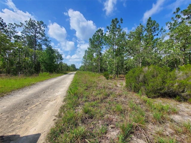 1270 NE 151st Ave, Williston, FL 32696 - photo 3