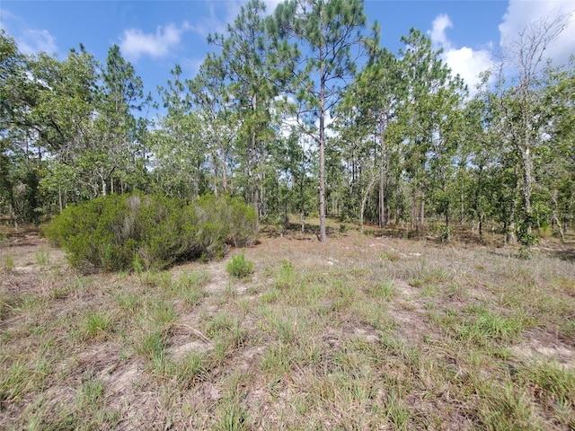 1270 NE 151st Ave, Williston, FL 32696 - photo 4