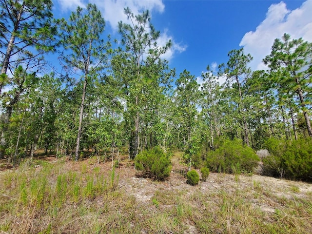 1270 NE 151st Ave, Williston, FL 32696 - photo 5