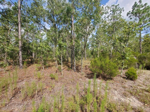 1270 NE 151st Ave, Williston, FL 32696 - photo 6