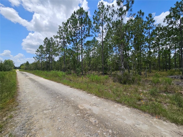 1270 NE 151st Ave, Williston, FL 32696 - photo 1
