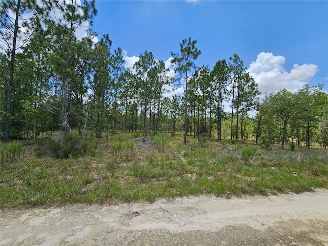 1270 NE 151st Ave, Williston, FL 32696 - photo 7