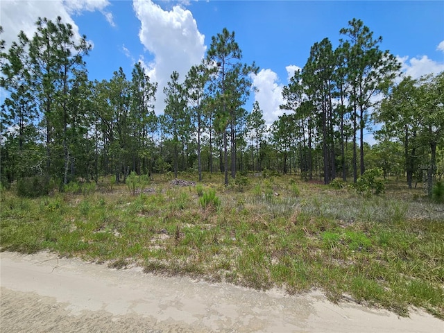 1270 NE 151st Ave, Williston, FL 32696 - photo 8
