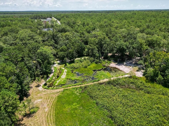 4359 SW 117th Pl, Ocala, FL 34476 - photo 37