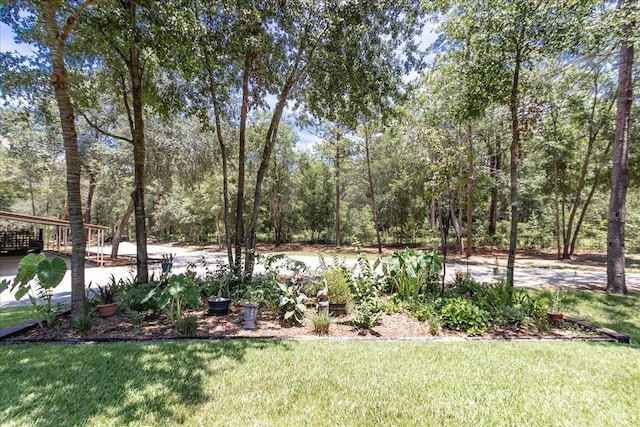 4359 SW 117th Pl, Ocala, FL 34476 - photo 70