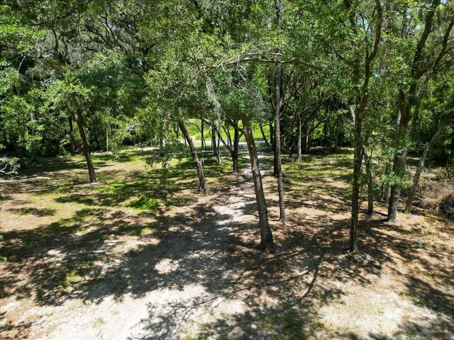 4359 SW 117th Pl, Ocala, FL 34476 - photo 34