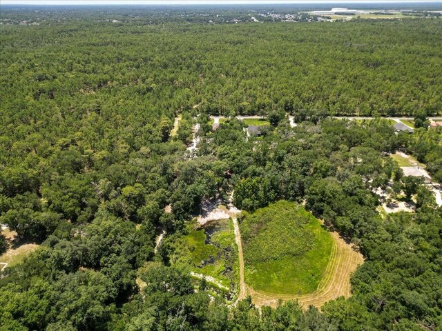 4359 SW 117th Pl, Ocala, FL 34476 - photo 36