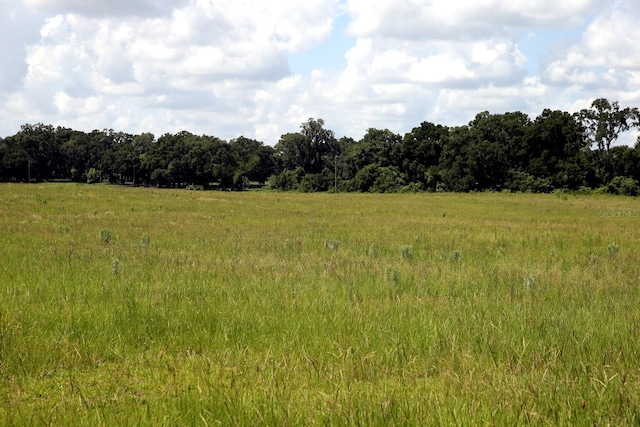 00 NW 133rd Ln, Reddick, FL 32686 - photo 2
