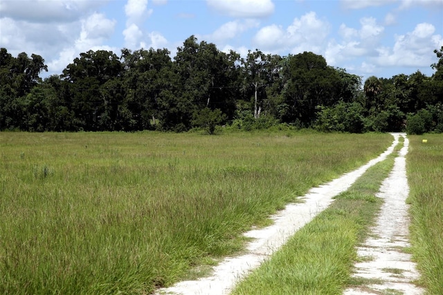 00 NW 133rd Ln, Reddick, FL 32686 - photo 3
