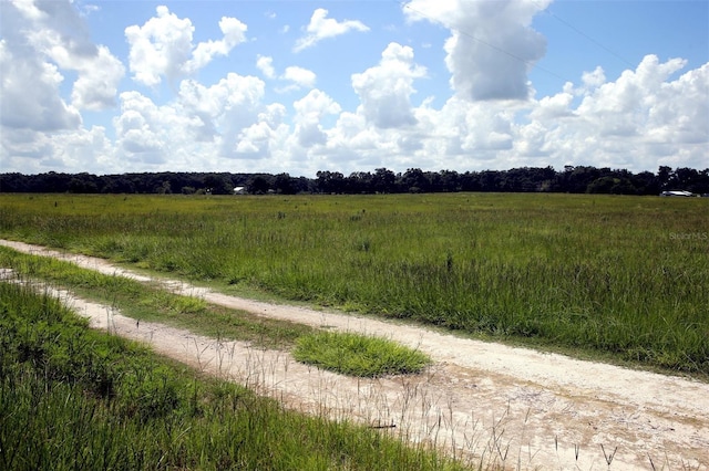 00 NW 133rd Ln, Reddick, FL 32686 - photo 4