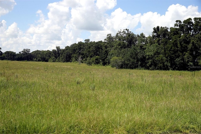 00 NW 133rd Ln, Reddick, FL 32686 - photo 5