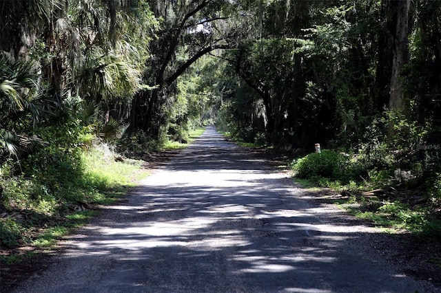 00 NW 133rd Ln, Reddick, FL 32686 - photo 6