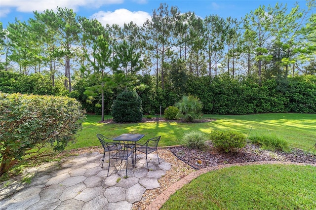 6409 SW 92nd Cir, Ocala, FL 34481 - photo 10