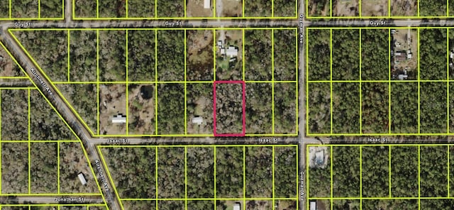 4320 Isaac St, Hastings, FL 32145 - photo 1