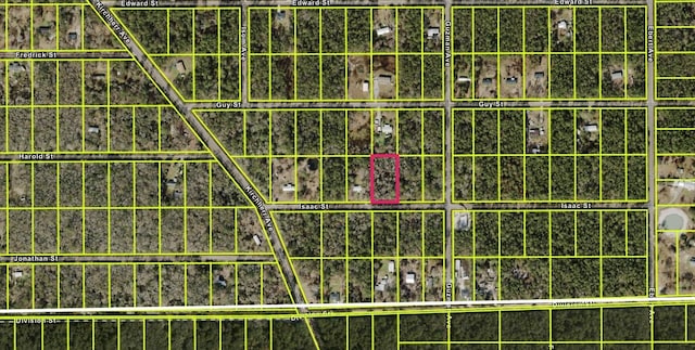 4320 Isaac St, Hastings, FL 32145 - photo 2