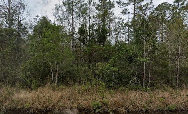 4320 Isaac St, Hastings, FL 32145 - photo 4