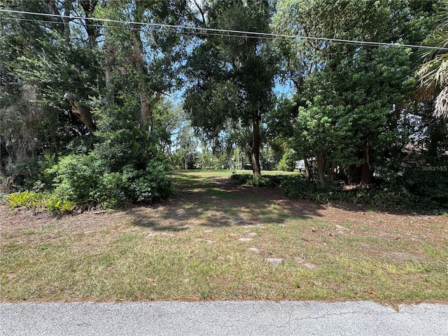 Pine Ridge Rd, Leesburg, FL 34788 - photo 6