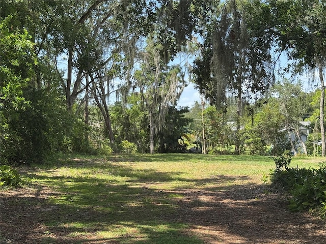 Pine Ridge Rd, Leesburg, FL 34788 - photo 1