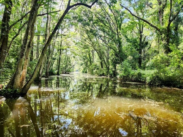 Pine Ridge Rd, Leesburg, FL 34788 - photo 7