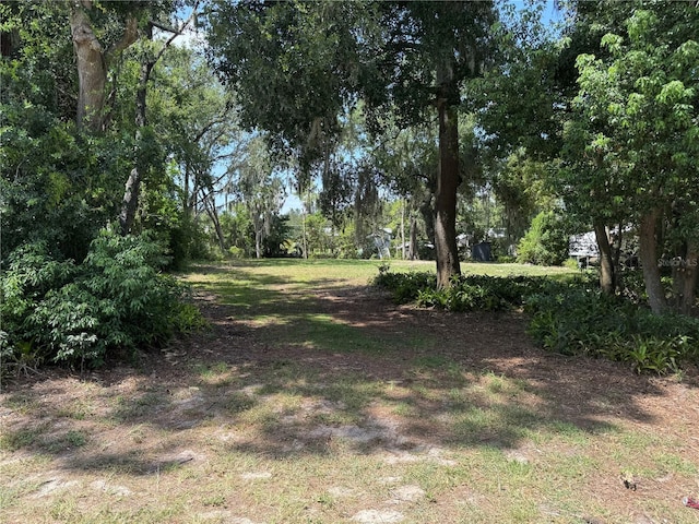 Pine Ridge Rd, Leesburg, FL 34788 - photo 3