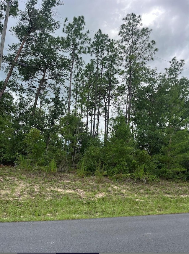 SW 128th Pl, Ocala, FL 34473 - photo 1