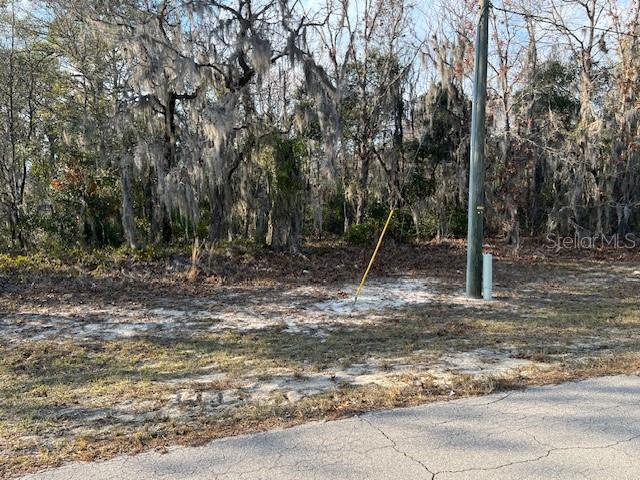 0 SW 83rd Cir, Ocala, FL 34473 - photo 2