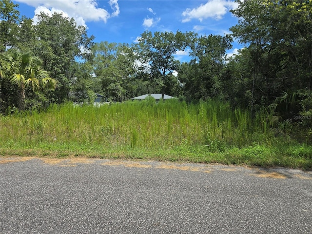 216 Emerald Loop Way, Ocala, FL 34472 - photo 1