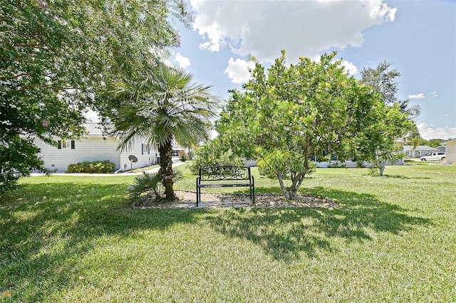17888 SE 106th Ter, Summerfield, FL 34491 - photo 7
