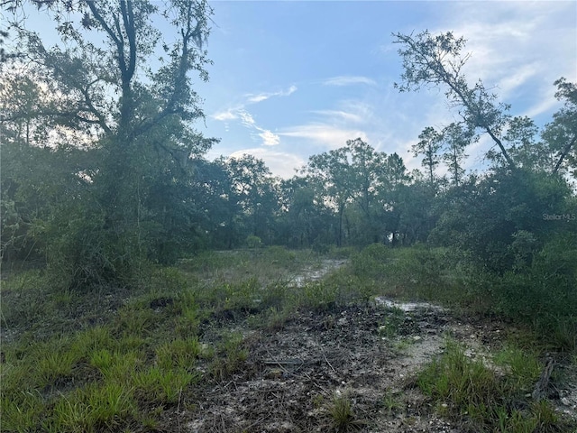00 SW Barnacle Dr, Dunnellon, FL 34431 - photo 1