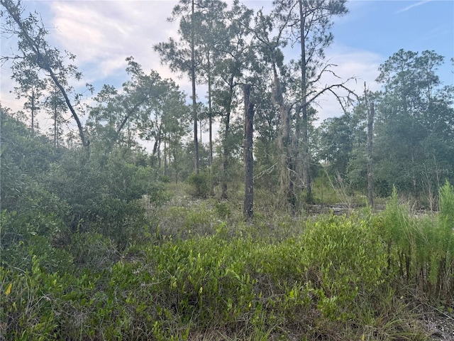 00 SW Barnacle Dr, Dunnellon, FL 34431 - photo 3