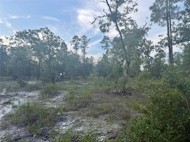 00 SW Barnacle Dr, Dunnellon, FL 34431 - photo 4