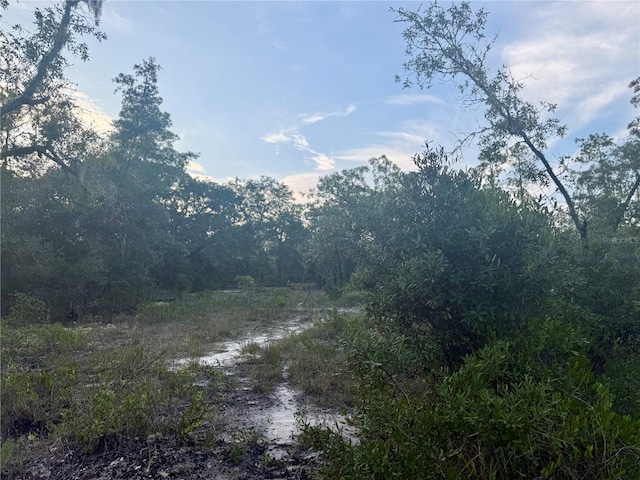 00 SW Barnacle Dr, Dunnellon, FL 34431 - photo 5