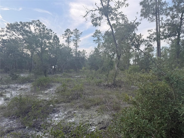 00 SW Barnacle Dr, Dunnellon, FL 34431 - photo 6