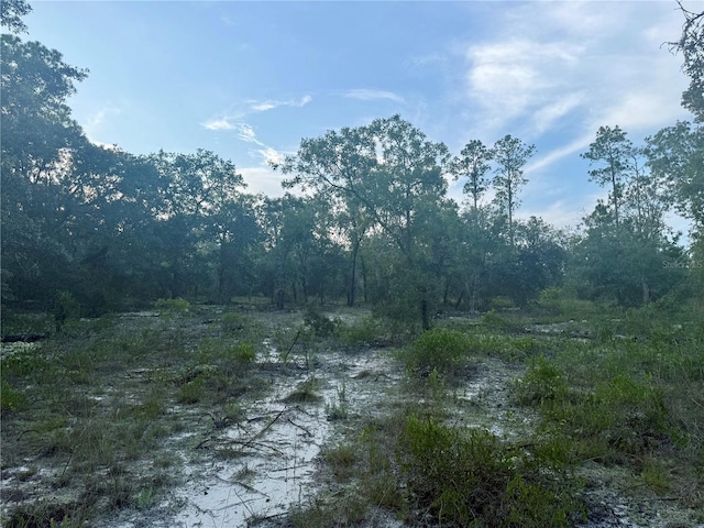 00 SW Barnacle Dr, Dunnellon, FL 34431 - photo 7