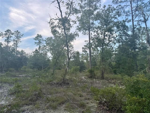 00 SW Barnacle Dr, Dunnellon, FL 34431 - photo 8