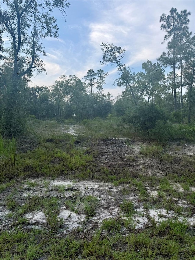 00 SW Barnacle Dr, Dunnellon, FL 34431 - photo 9