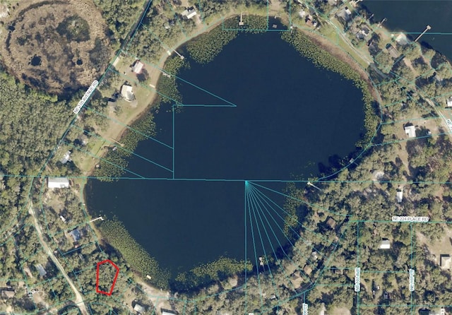 TBD NE 224th Pl, Fort Mc Coy, FL 32134 - photo 1